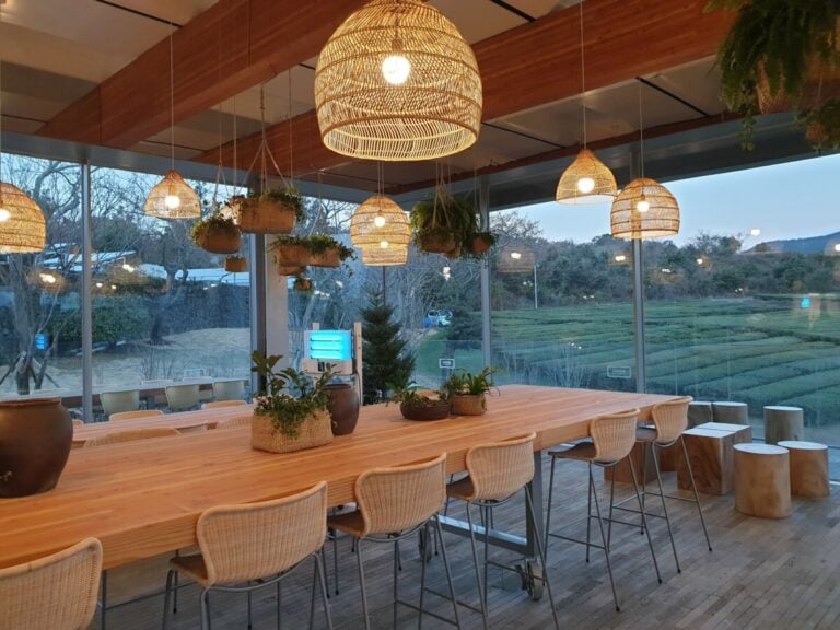 jeju cafe view: Innisfree Jeju House. A café with a view of lush green tea fields