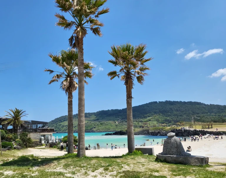 Jeju Hamduck Beach: A sunny beach scene with tall palm trees in the foreground, a light sandy shore, and turquoise waters in the background. People are scattered along the beach, with a hill covered in greenery in the distance under a clear blue sky.